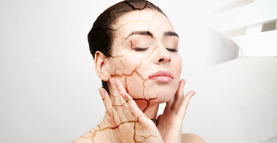Top 9 Ingredients that Slow Down Aging